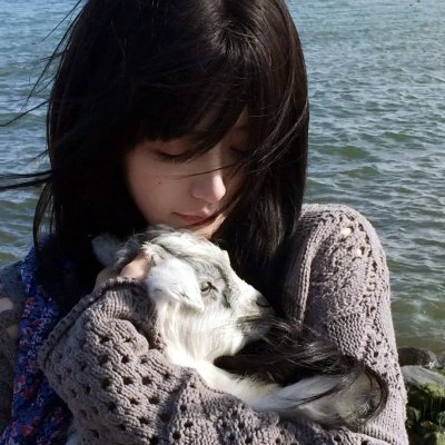 樱，重逢的加奈子