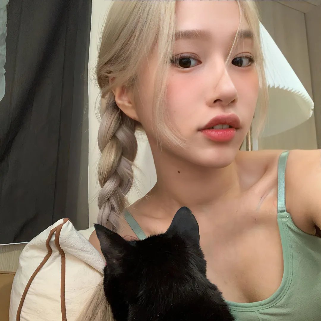 立花登青春备忘录